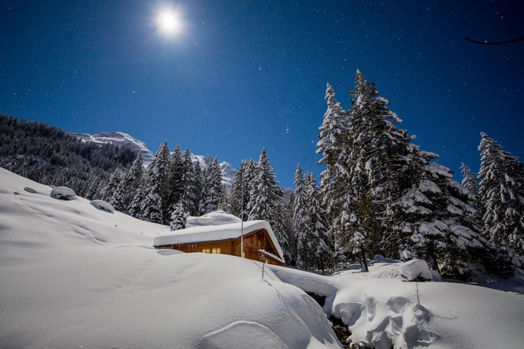 Alpenlodge Willigen Extérieur photo