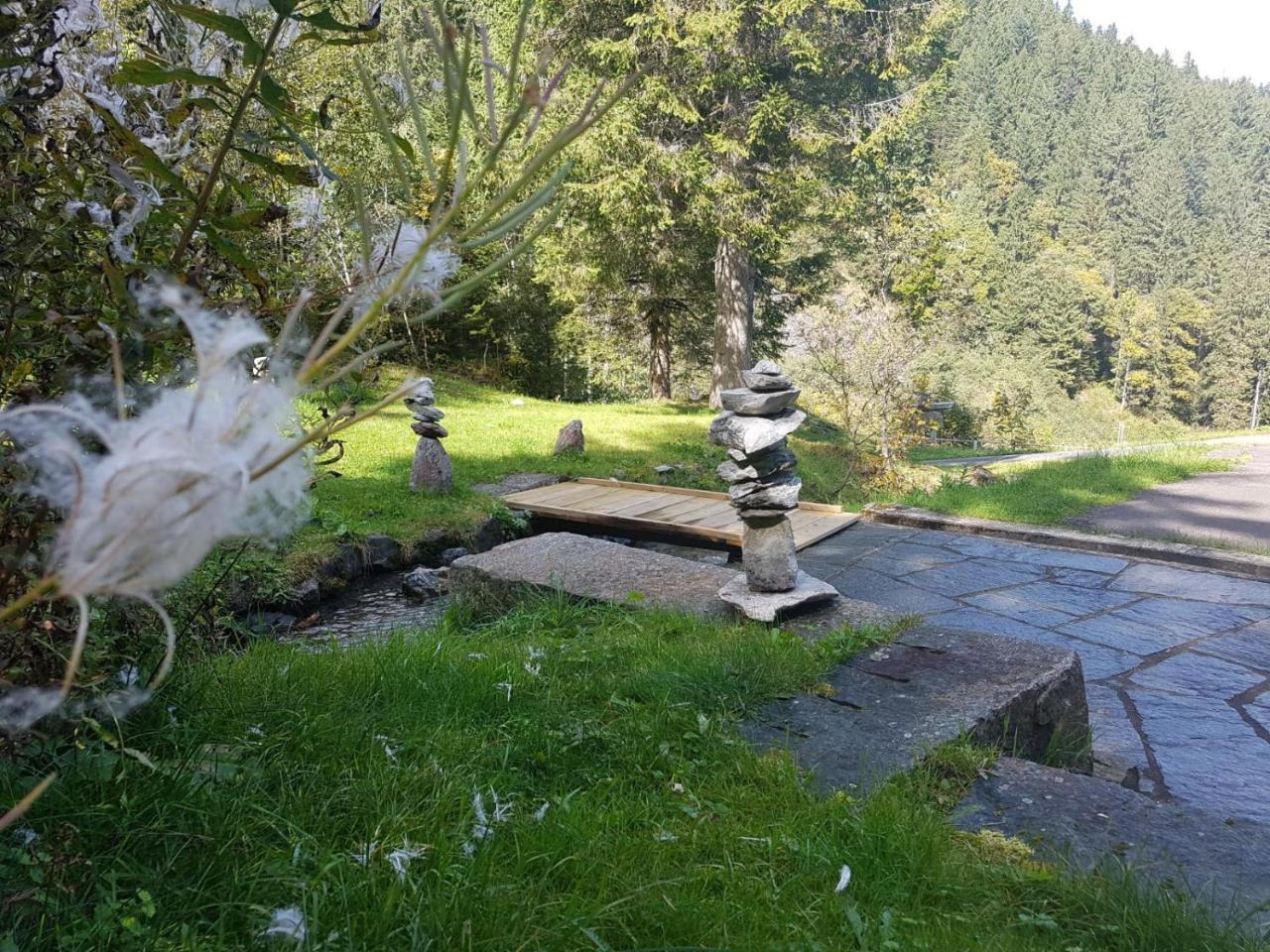 Alpenlodge Willigen Extérieur photo