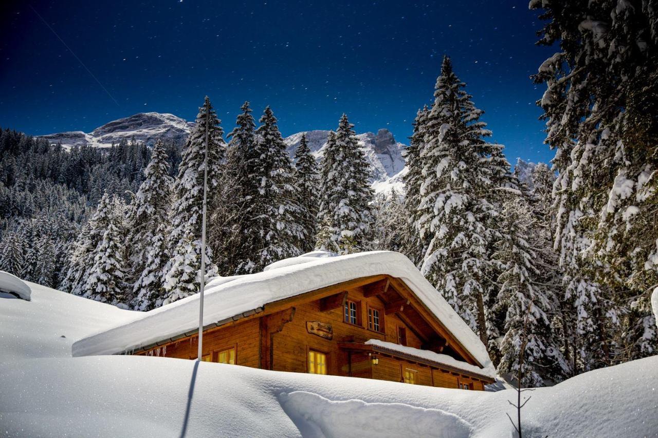 Alpenlodge Willigen Extérieur photo