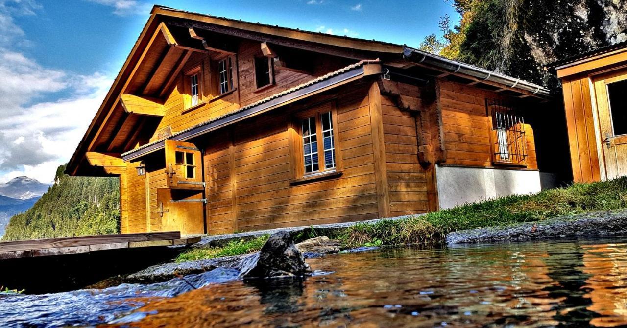 Alpenlodge Willigen Extérieur photo