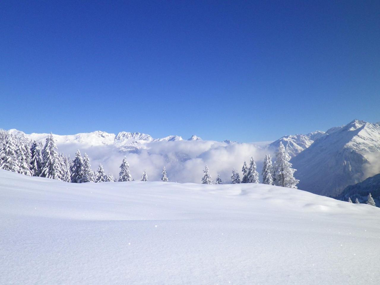 Alpenlodge Willigen Extérieur photo