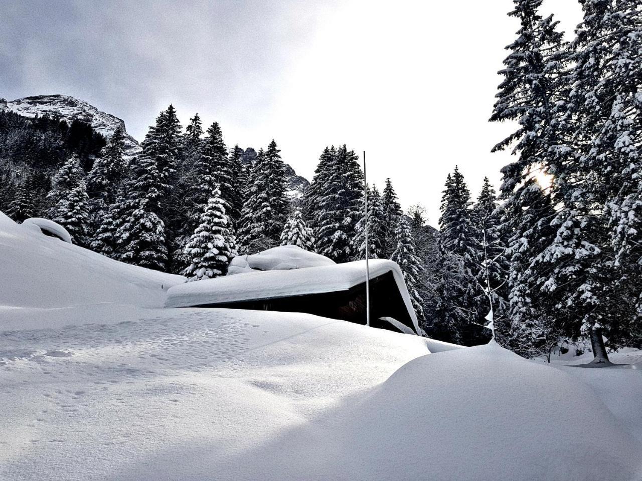 Alpenlodge Willigen Extérieur photo