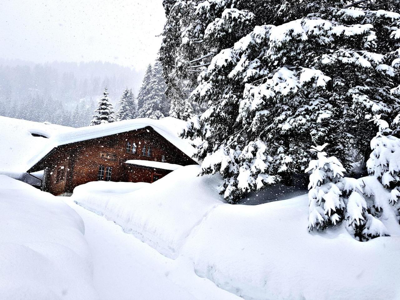 Alpenlodge Willigen Extérieur photo