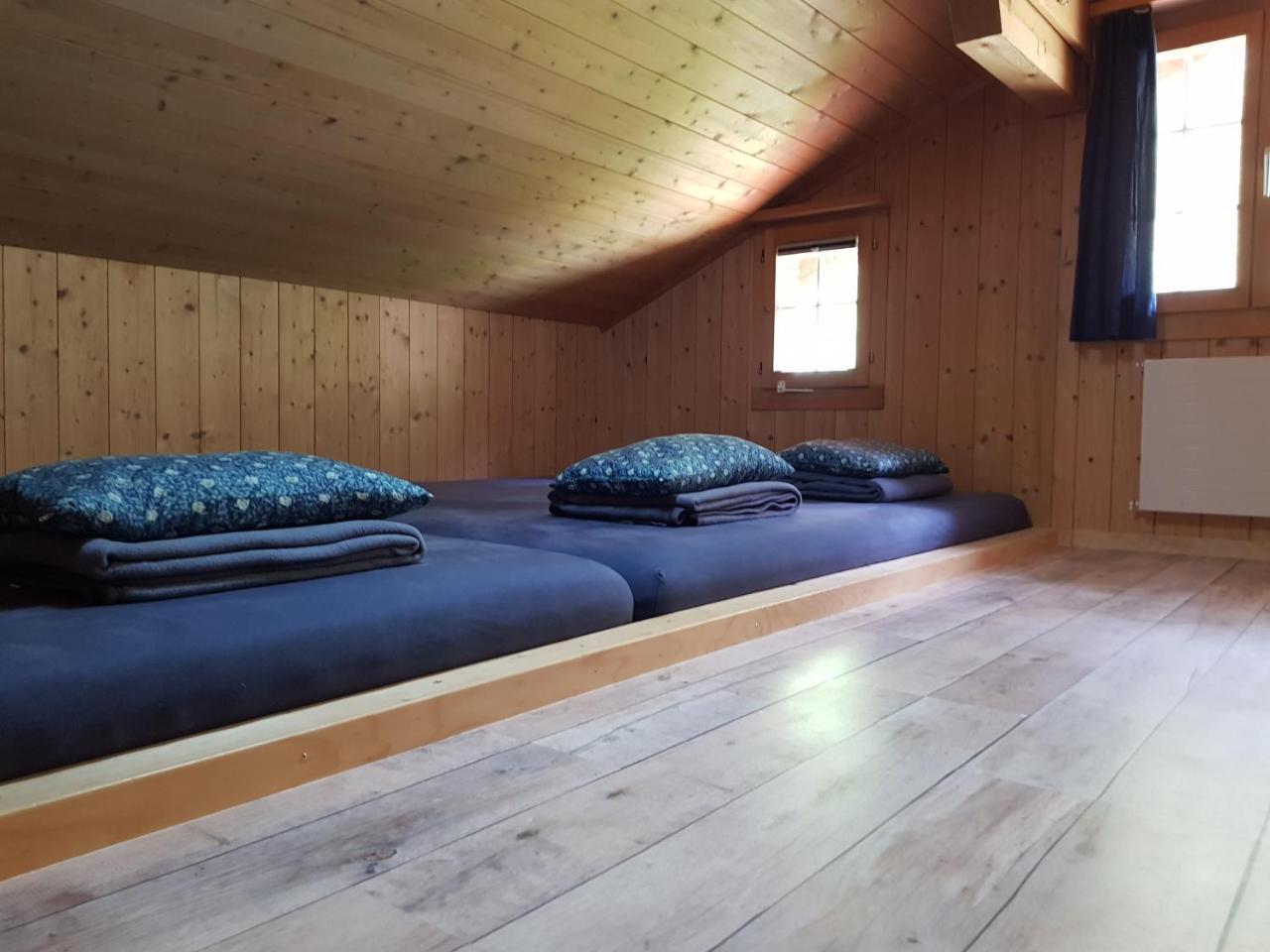Alpenlodge Willigen Extérieur photo